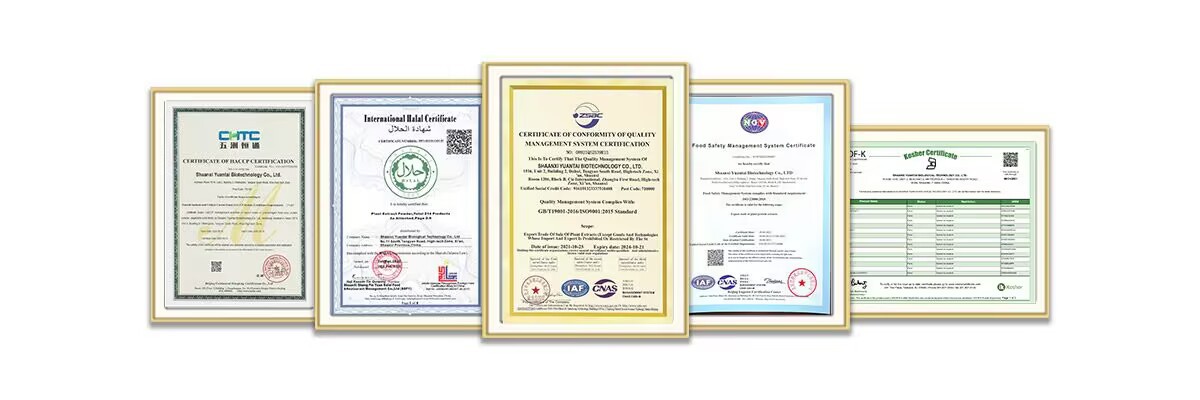 Certificates.jpg