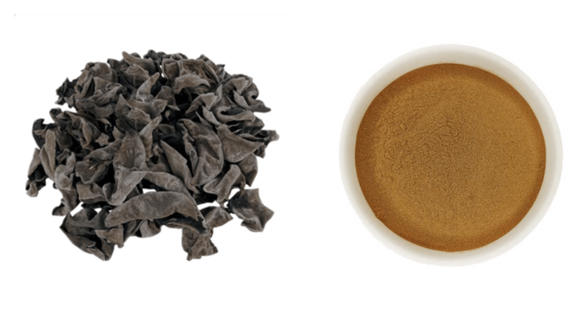 Black Fungus Extract