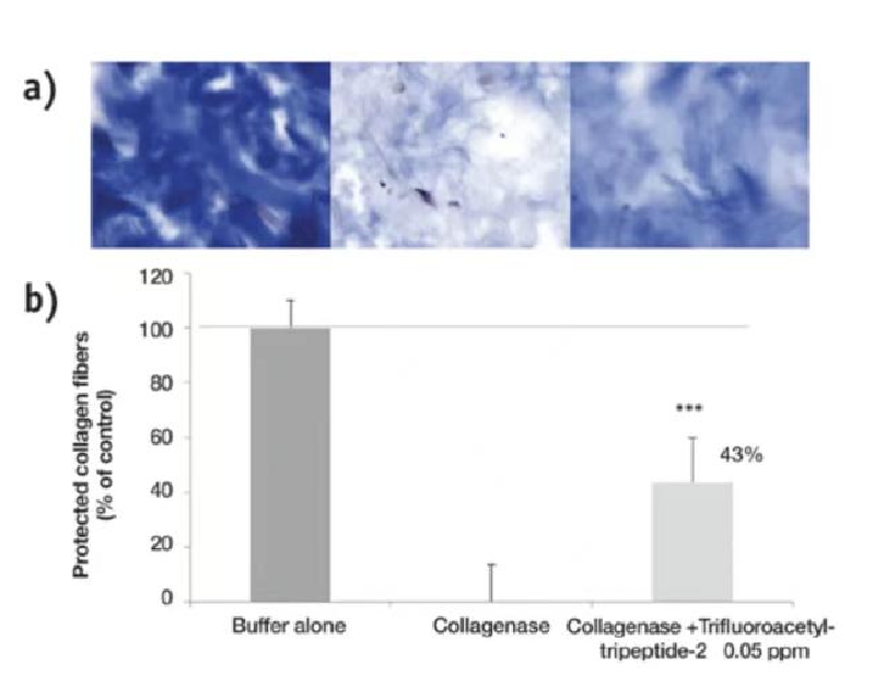 Peptide Progeline