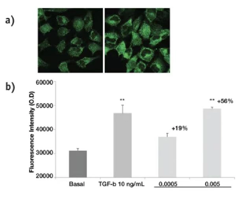 Peptide Progeline