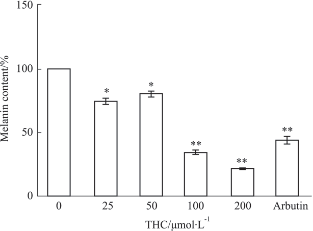 Tetrahydrocurcumin powder