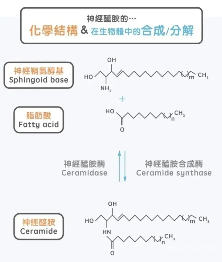 640_副本.webp