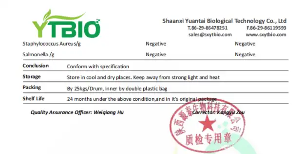 Creatine Monohydrate Powder Bulk.png Creatine Monohydrate Powder Bulk.png