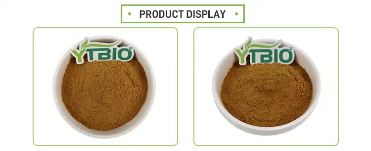 Rosmarinic Acid Powder Rosmarinic Acid Powder