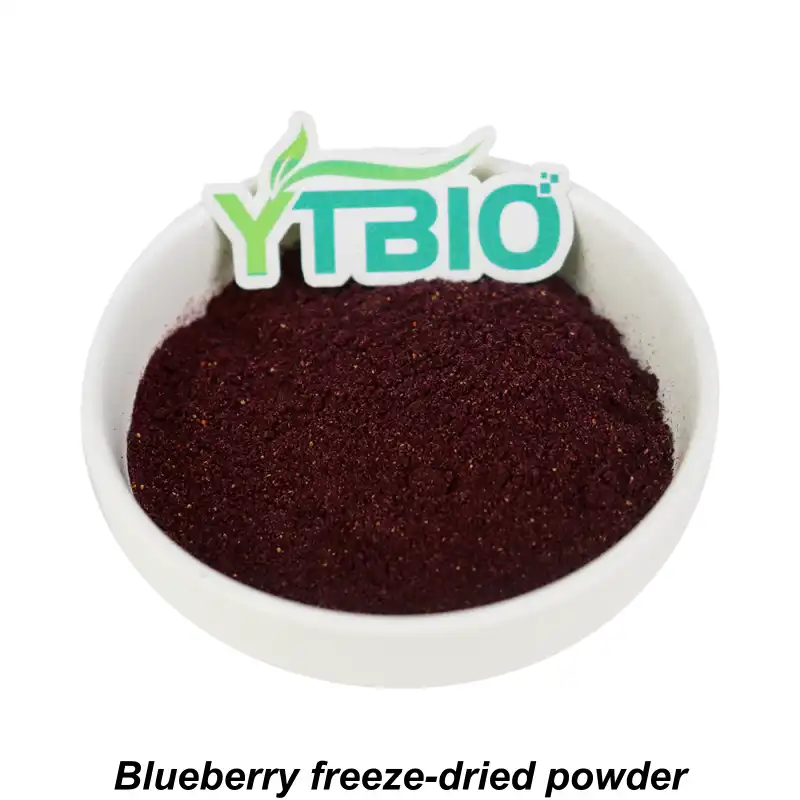 Bulk Blueberry Fruit Powder Bulk Blueberry Fruit Powder
