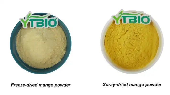 Bulk Mango Powder Bulk Mango Powder