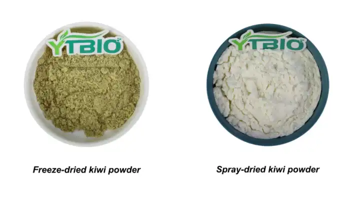 Bulk Kiwi Fruit Powder Bulk Kiwi Fruit Powder