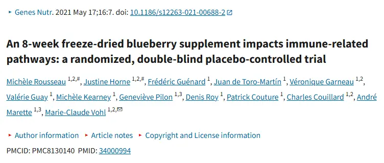 Bulk Blueberry Fruit Powder Bulk Blueberry Fruit Powder