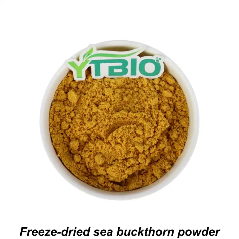 Sea Buckthorn Fruit Powder Sea Buckthorn Fruit Powder