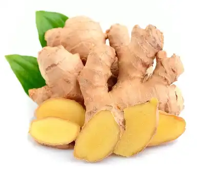 Gingerol Powder Gingerol Powder