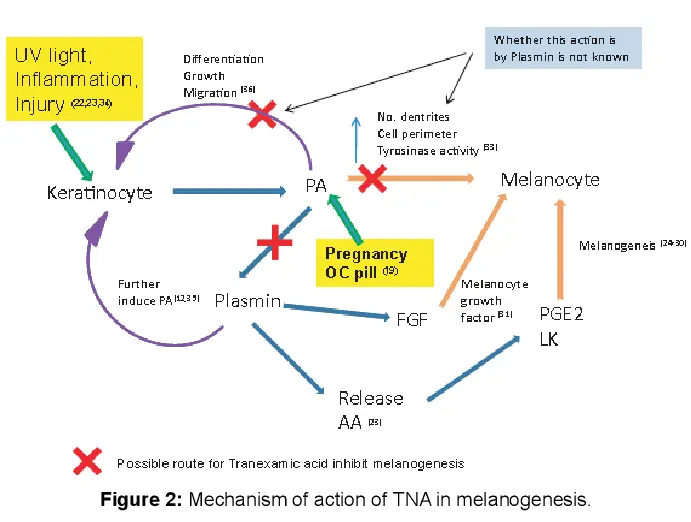 source:DOI:10.4172/2376-0427.1000190 source:DOI:10.4172/2376-0427.1000190