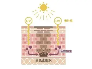 Causes of Skin Darkening Causes of Skin Darkening