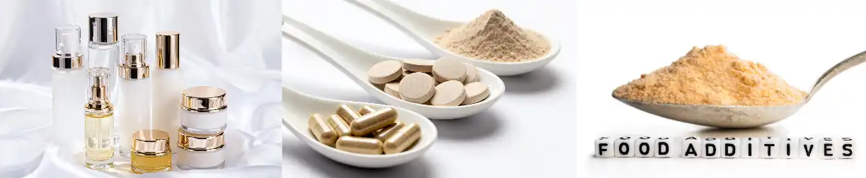 Pure Pine Bark Extract Pure Pine Bark Extract