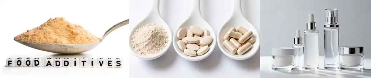 Bulk Hops Flower Extract Bulk Hops Flower Extract