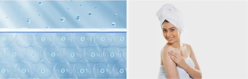 Brown algae extract Brown algae extract