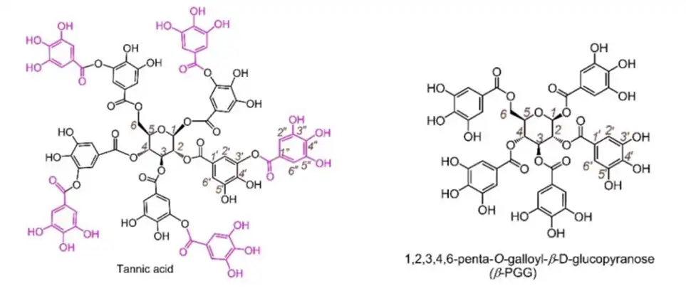 Tannic acid Tannic acid