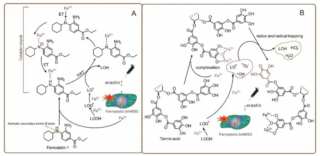 Tannic acid