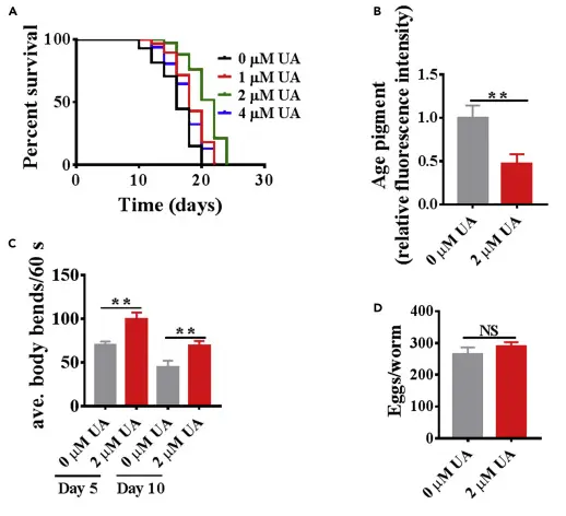 Usnic acid Usnic acid