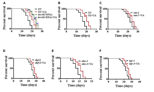 Usnic acid Usnic acid
