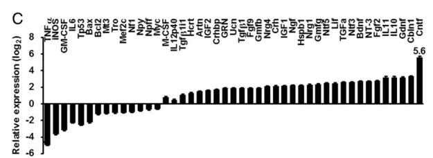 Ursolic acid