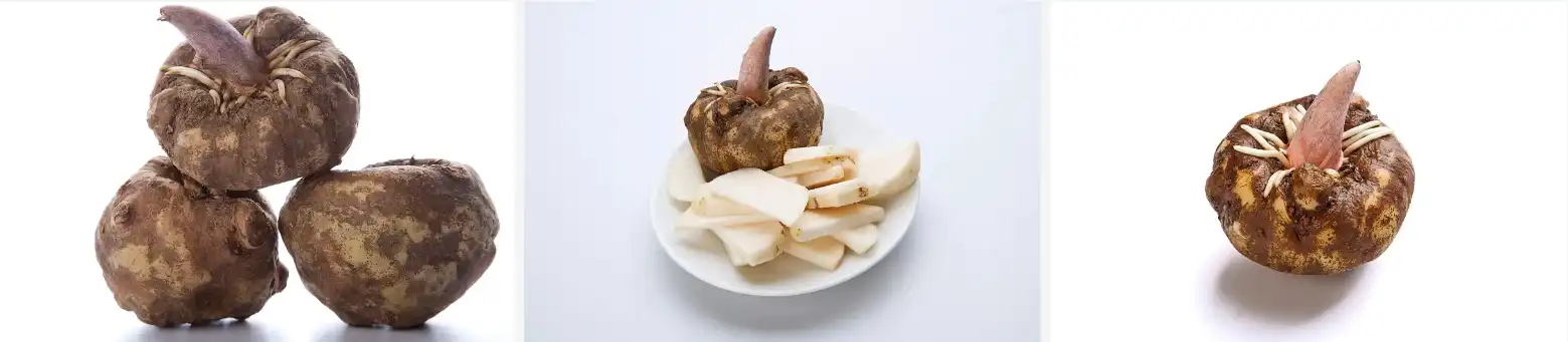 Konjac extract Konjac extract