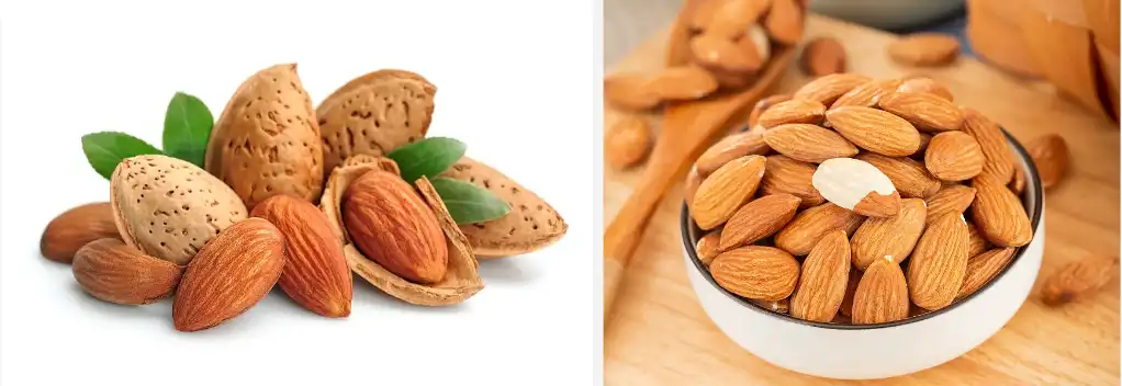 Almond extract powder Almond extract powder