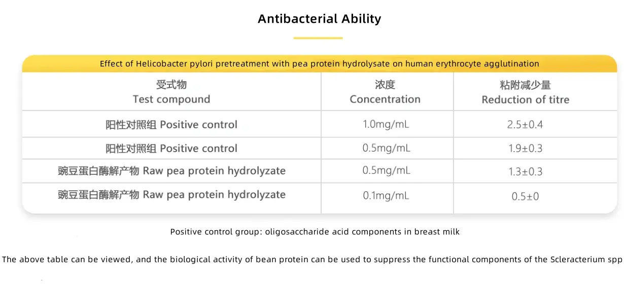 Pea protein