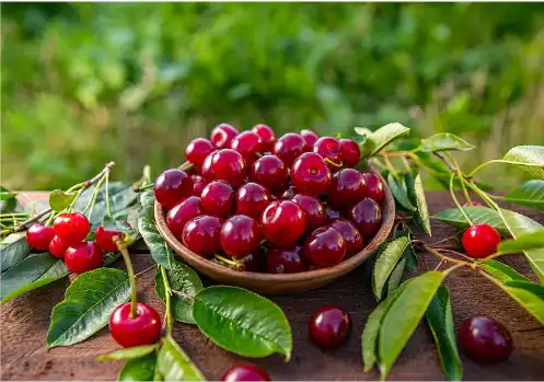 Tart Cherry Powder Bulk