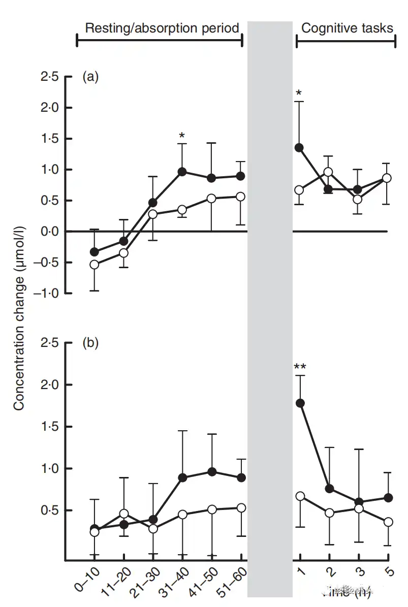 Tart Cherry Powder Bulk Tart Cherry Powder Bulk