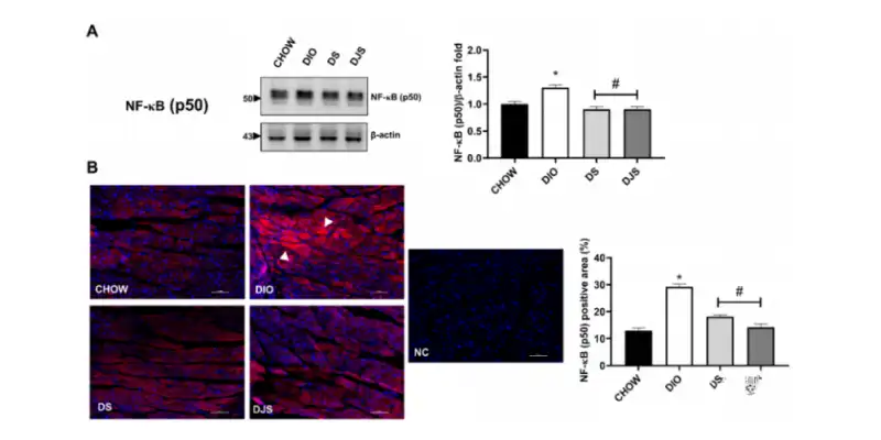 Tart Cherry Powder Bulk Tart Cherry Powder Bulk