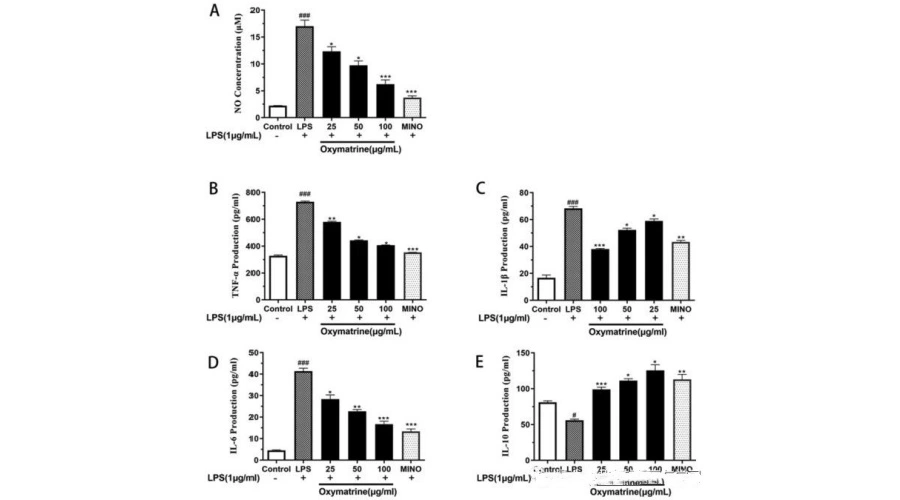 Oxymatrine Powder Oxymatrine Powder