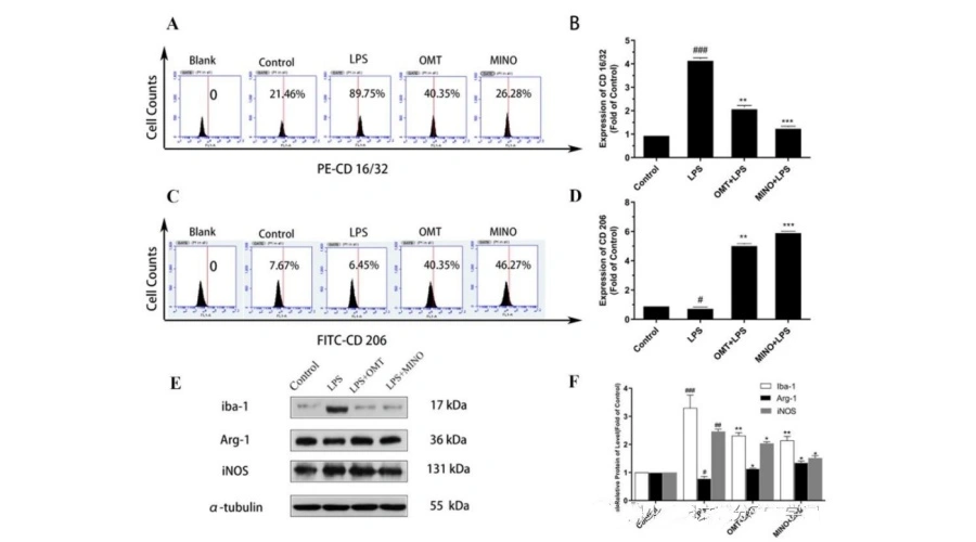Oxymatrine Powder Oxymatrine Powder