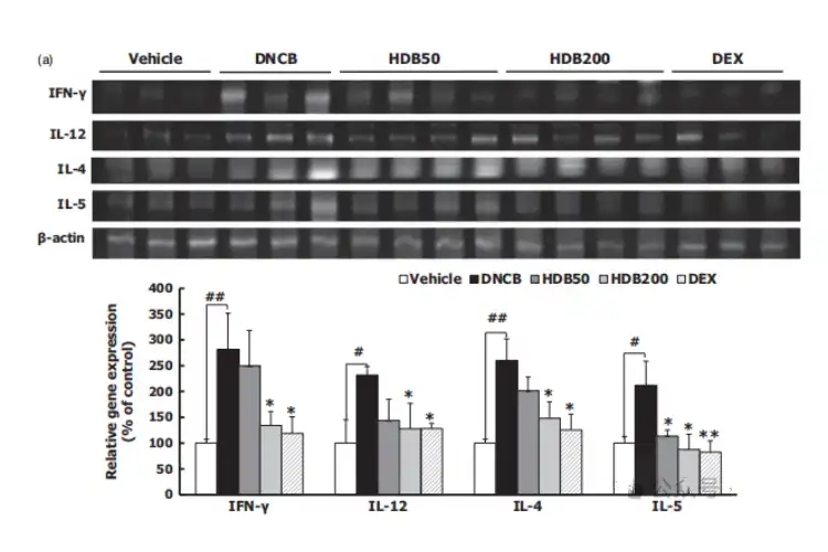 Hovenia Dulcis Extract Hovenia Dulcis Extract