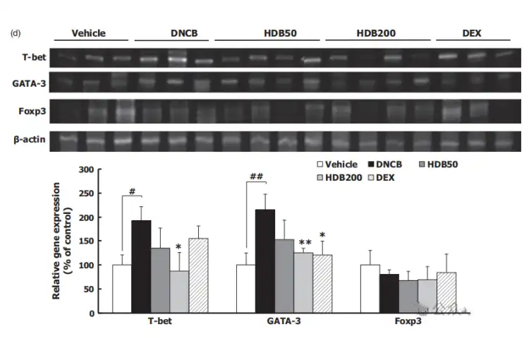 Hovenia Dulcis Extract Hovenia Dulcis Extract