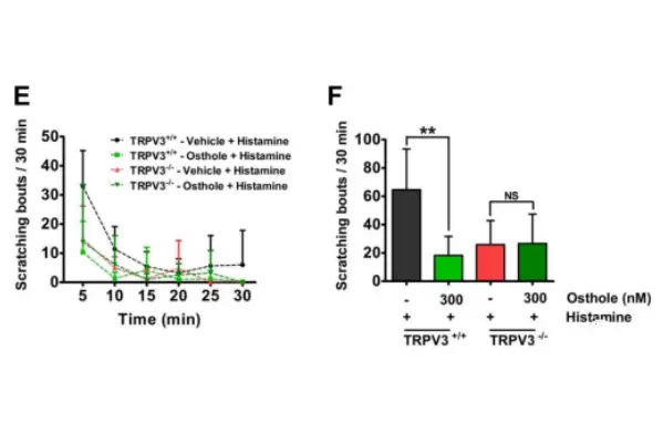 Cnidium monnieri extract Cnidium monnieri extract
