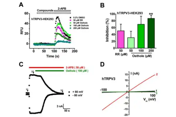 Cnidium monnieri extract Cnidium monnieri extract