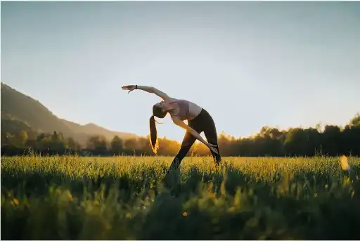 Cranberry Powder Cranberry Powder