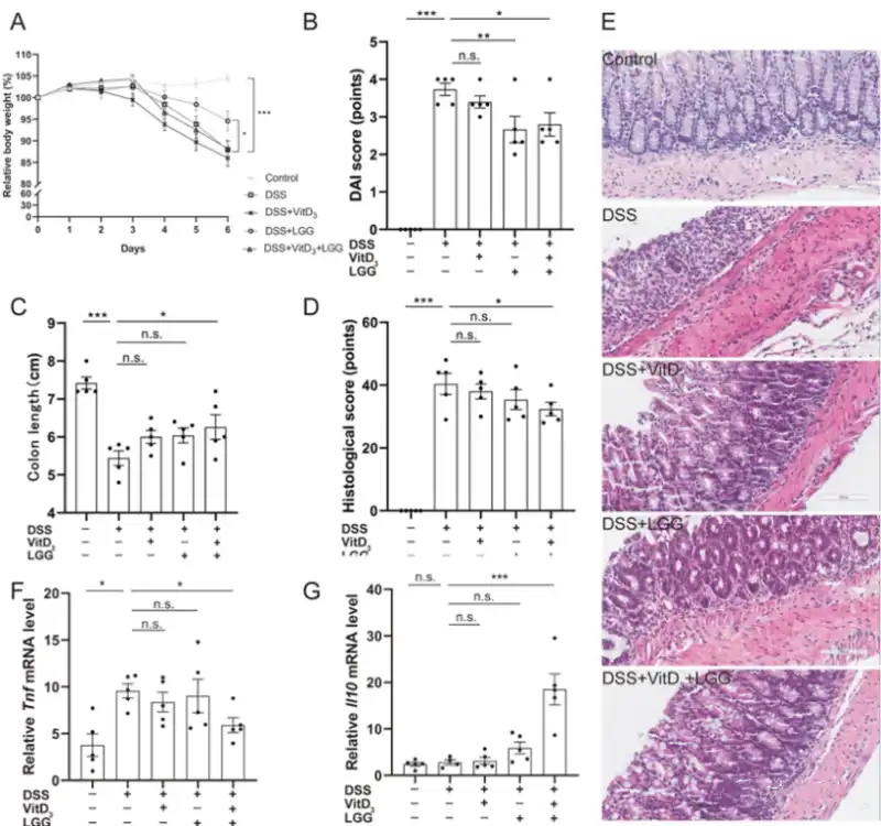 Vitamin D3 Vitamin D3