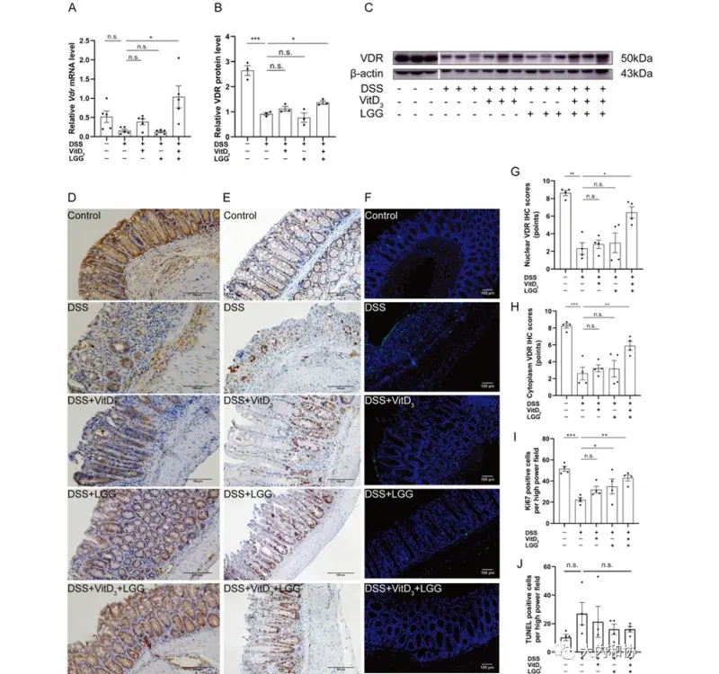 Vitamin D3 Vitamin D3