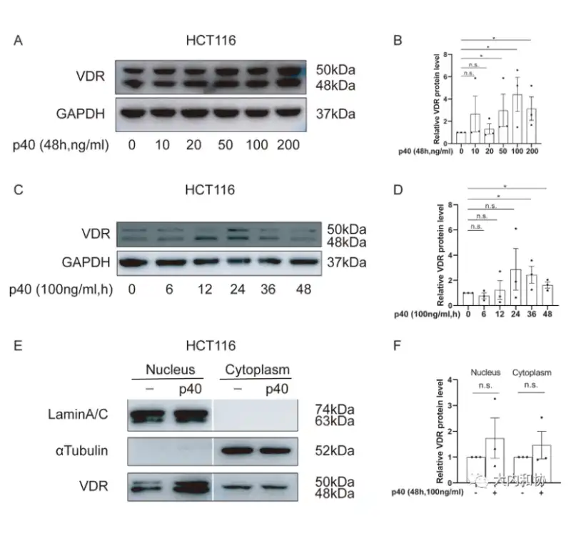 Vitamin D3 Vitamin D3