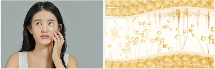 cinnamic acid cinnamic acid