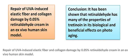 Retinaldehyde Retinaldehyde