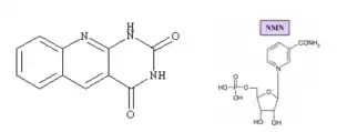 Deazaflavin Powder