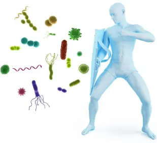 Aloe Emodin Aloe Emodin