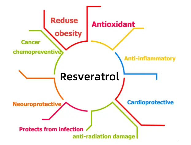 Resveratrol Powder