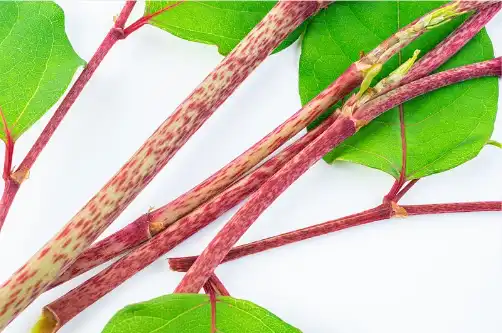 Resveratrol Resveratrol