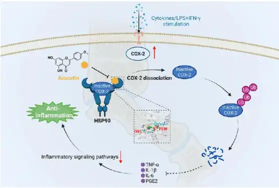 Acacetin Powder Acacetin Powder