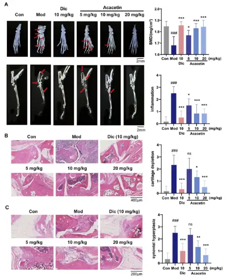 Acacetin Powder Acacetin Powder