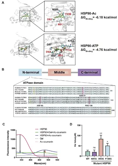 Acacetin Powder Acacetin Powder