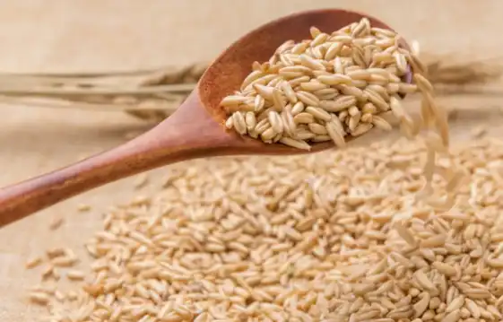 Oat Beta Glucan 70% Extract-Food and Health Oat Beta Glucan 70% Extract-Food and Health